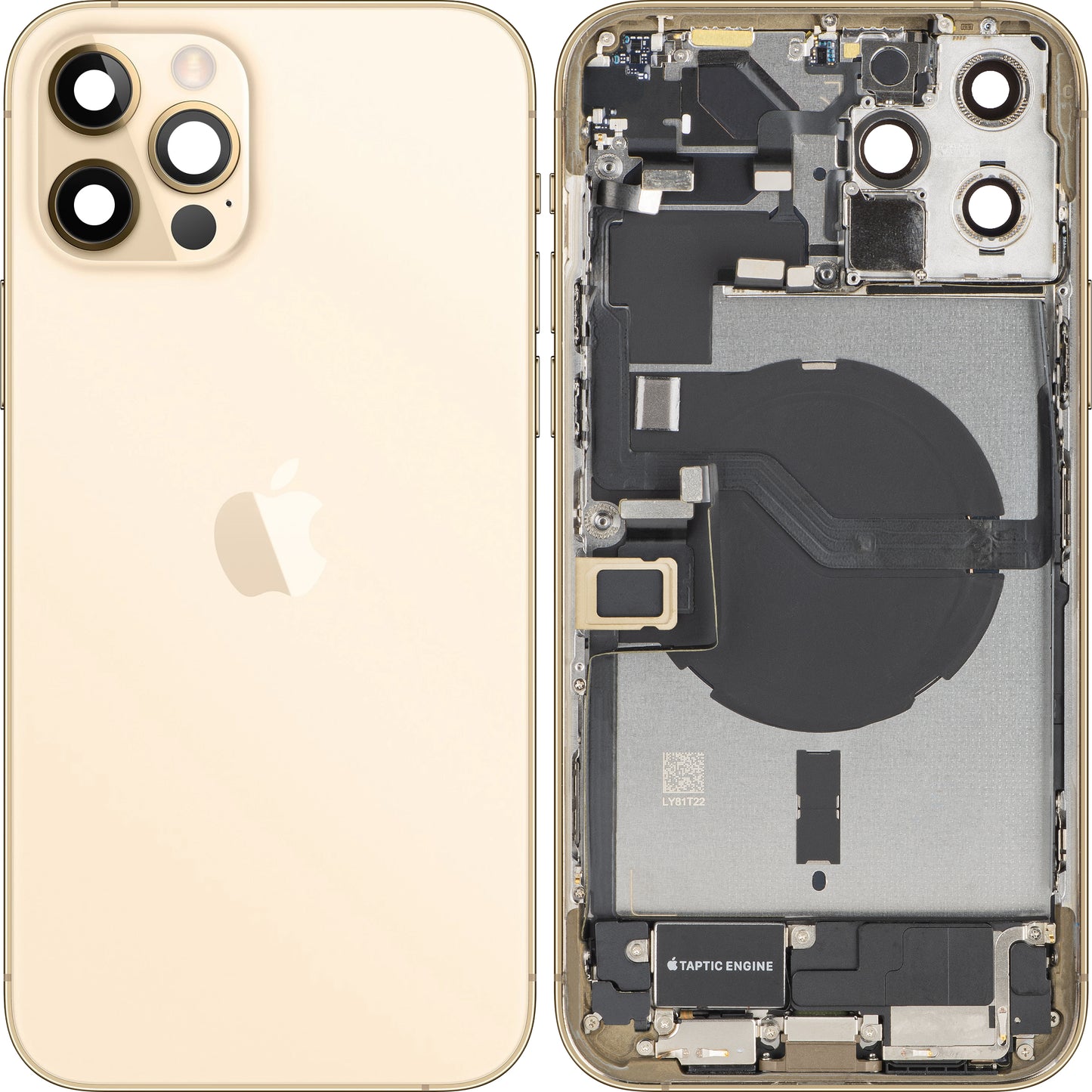 Coperchio Batteria Apple iPhone 12 Pro Max, Con Scocca Centrale, Completo di Parti, Dorato, Swap