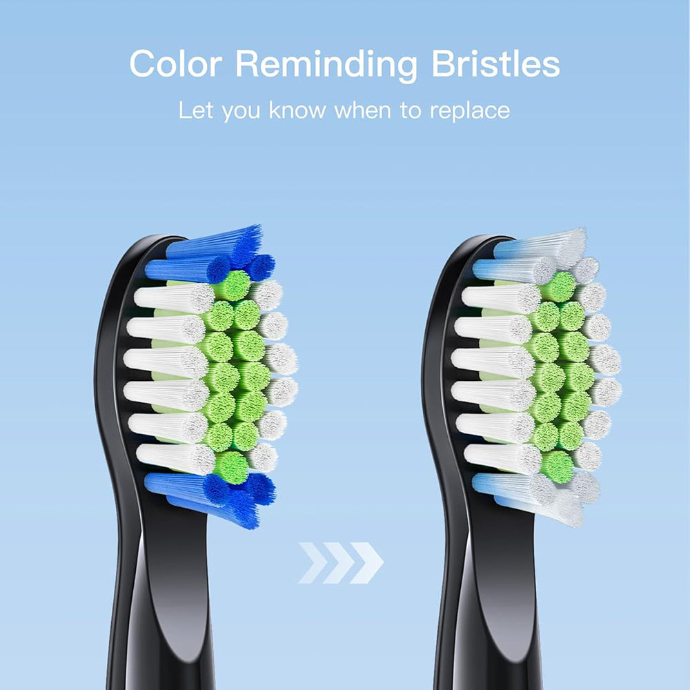 SDD2 Replacement Head for Bitvae D2 Electric Toothbrush, Set of 4, Black