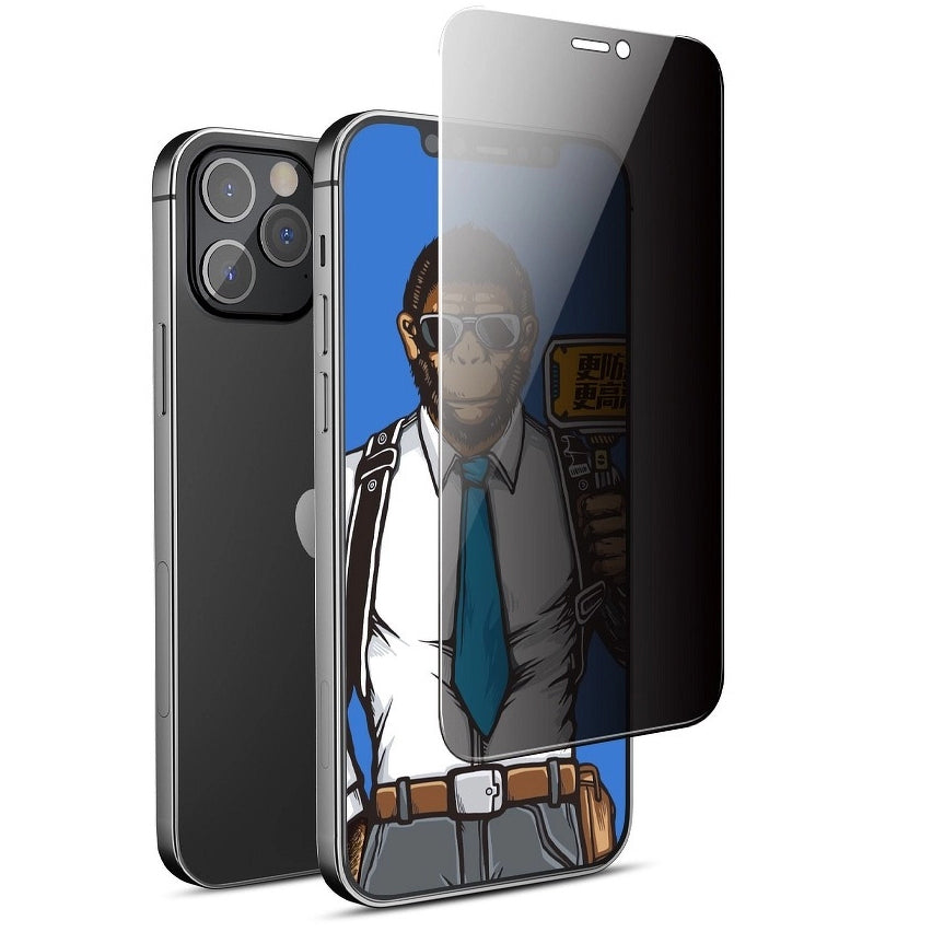 Pellicola Protettiva Schermo Privacy Blueo per Apple iPhone 17e / 16e / 14 / 13 Pro, Vetro Temperato, Full Glue, 5D