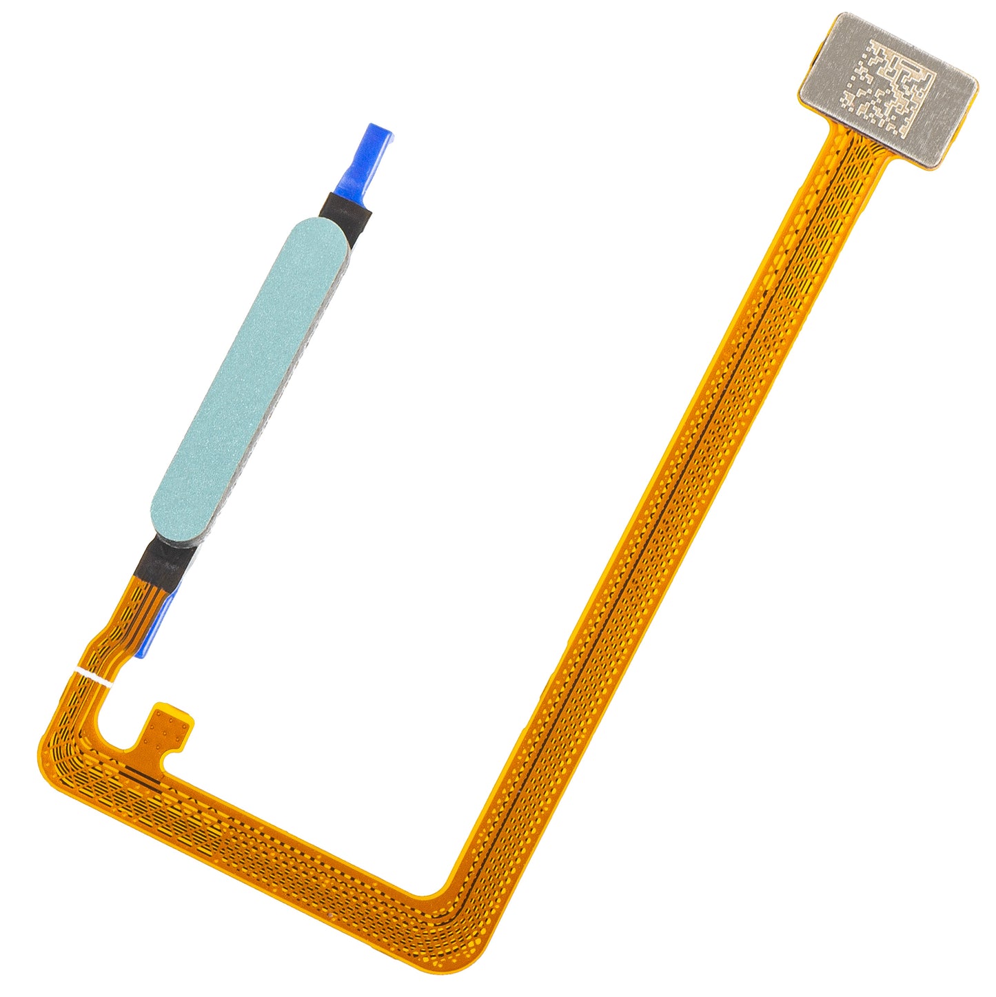 Sensore Impronta Honor X5c Plus, con banda, Turchese (Cyan Lake), Service Pack 9707ACFG