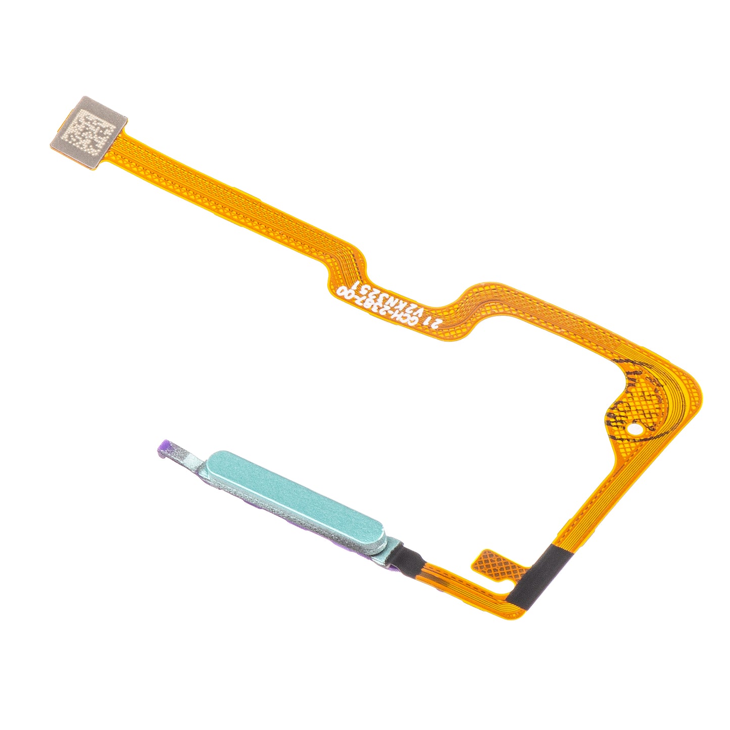 Sensore Impronta Honor X6a, con nastro, Turchese (Cyan Lake)