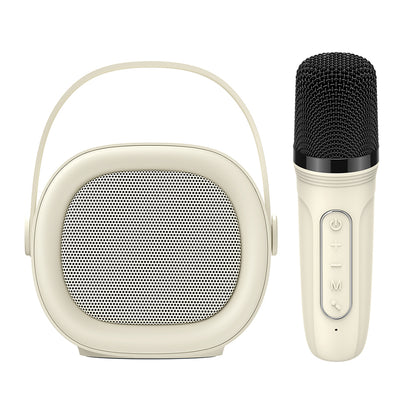 Enceinte Portable Bluetooth HAVIT SK819BT Karaoke, 5W, Beige