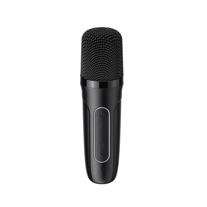 Cassa Portatile Bluetooth HAVIT SK819BT Karaoke, 5W, Nera