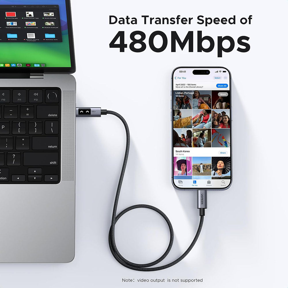 Câble de Données et de Charge USB-C - USB-C UGREEN L509, 100W, 1m, Gris