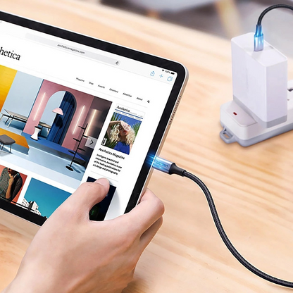 Câble de Données et de Charge USB-C - USB-C UGREEN US316, 100W, 3m, Gris
