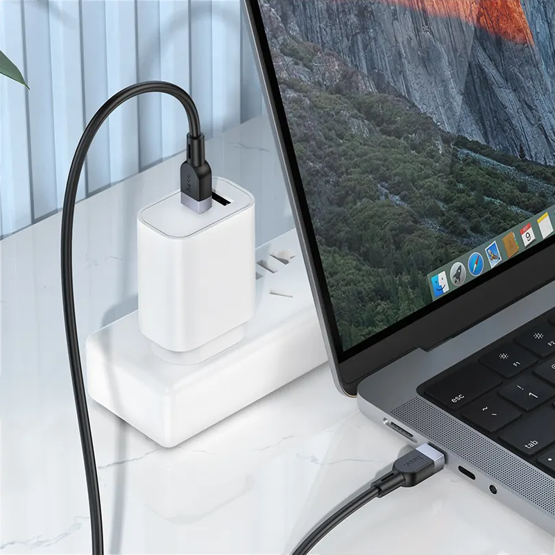 Daten- und Ladekabel USB-C - USB-C HOCO X109, 60W, 2m, Schwarz