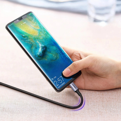 Câble de Données et de Charge USB-C - USB-C UGREEN US316, 100W, 3m, Gris