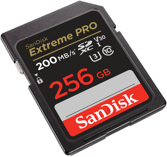 Scheda di memoria SDXC SanDisk Extreme Pro, 256Gb, Classe 10 / UHS-1 U3 SDSDXXD-256G-GN4IN