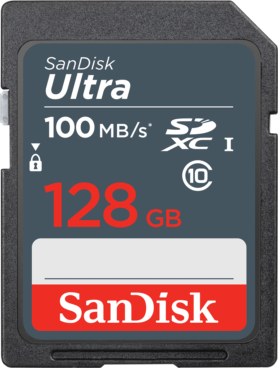 Card Memoria SDXC SanDisk Ultra, 128Gb, Classe 10 SDSDUNR-128G-GN3IN