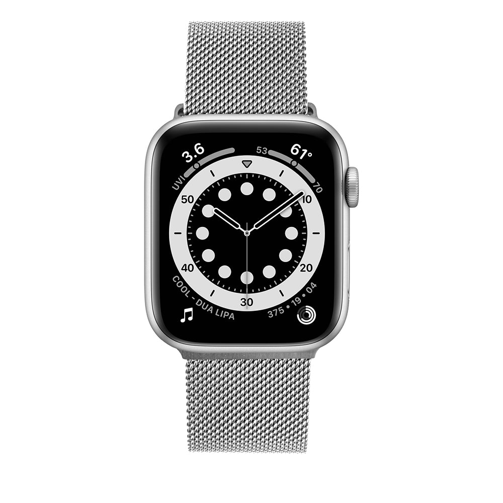 Bracelet Fixed Mesh pour Apple Watch 49mm / 46mm / 45mm / 44mm / 42mm Series, Argenté