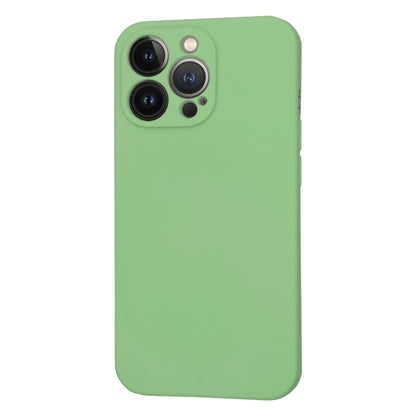 Custodia MagSafe per Apple iPhone 13 Pro, Techsuit, SoftFlex, Verde Chiaro
