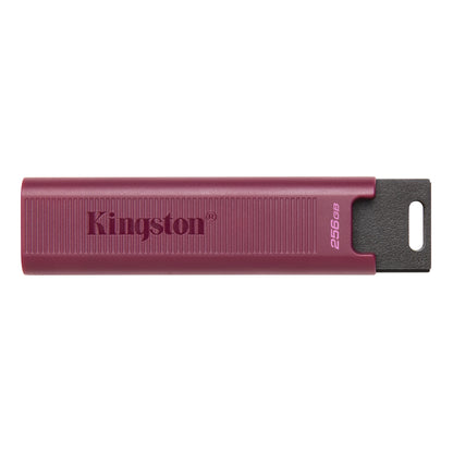 Memoria Esterna USB-A 3.2 Kingston DT Max, 256Gb DTMAXA/256GB