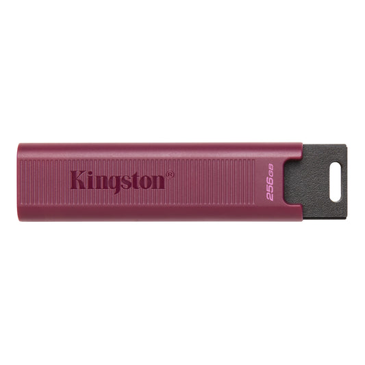 Memoria Esterna USB-A 3.2 Kingston DT Max, 256Gb DTMAXA/256GB