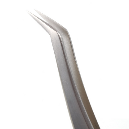 Pince Courbée Vetus MJP-16-12