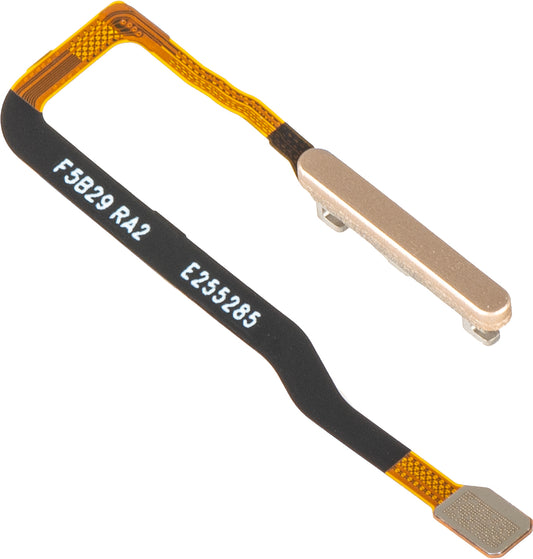 Honor Magic V6 Fingerabdrucksensor mit Band, Gold, Service Pack 2310AAKT