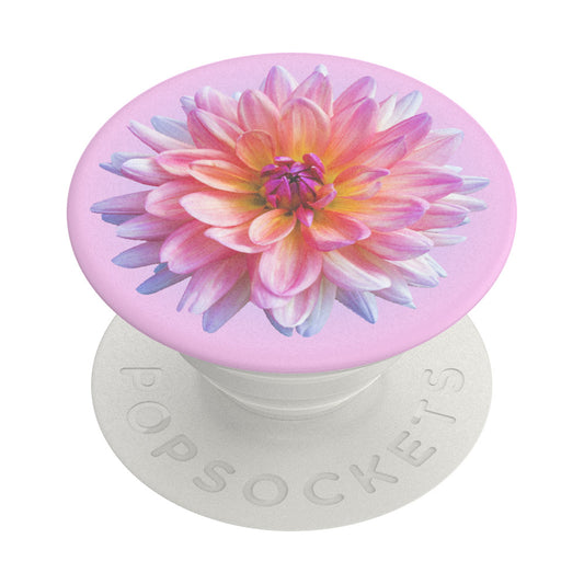 PopGrip Popsockets Dahlia Icon, Mehrfarbig