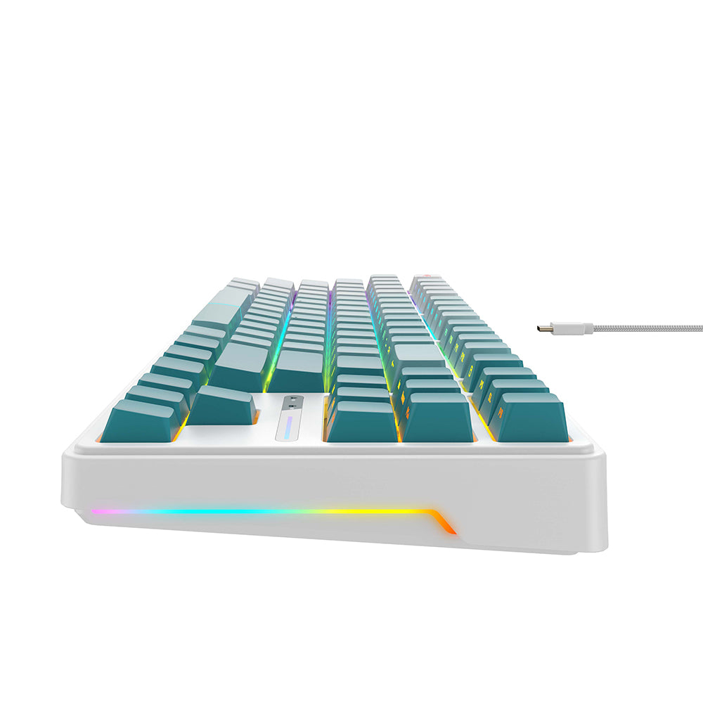 Clavier Gaming HAVIT KB901L, RGB, 1.8m, Blanc Vert