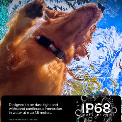 Haustierhalsband mit Spigen Tough Armor Halterung für Apple AirTag, Schwarz